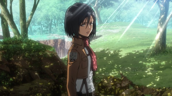 Shingeki no Kyojin Mikasa Ackerman