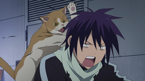 Funny Moments Noragami Yato cat 