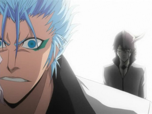 THE ESPADA ATTACK!!, GRIMMJOW VS ICHIGO?