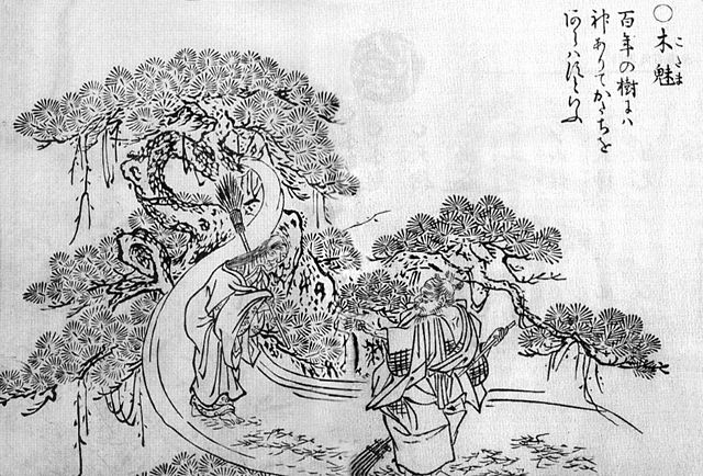 Mononoke Hime Sekien's Kodama