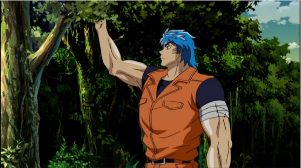 Toriko vs Luffy intelligence