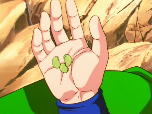 Best Food in Anime Dragon Ball Z
