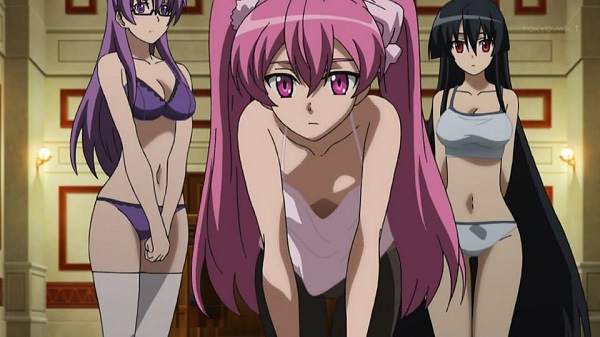 Akame ga Kill! Hot Sheele Akame Mine