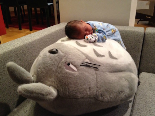 Tonari no Totoro: Baby on Totoro