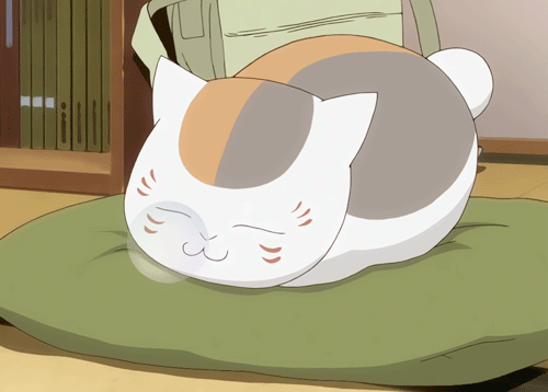 Madara Natsume Yuujinchou cat