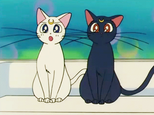 Luna Artemis Cat Bishoujo Senshi 