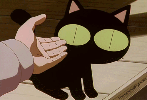 Cat Girl GIF - Cat Girl - Discover & Share GIFs
