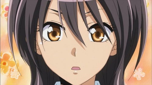 misaki ayuzawa Kaichou wa Maid-sama! Top 20 Anime Girls with Brown Hair