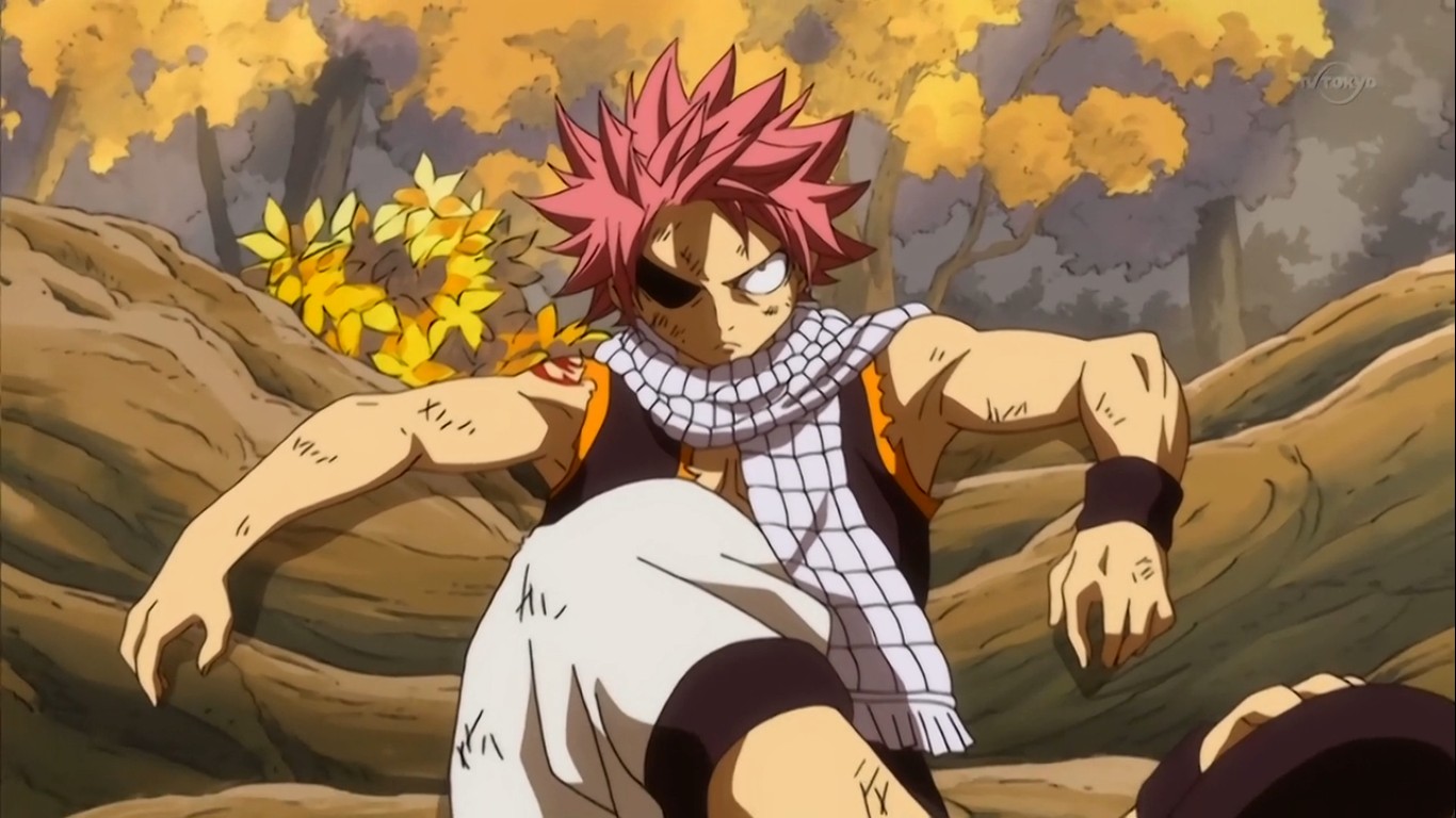 Fairy Tail Natsu Dragneel 2