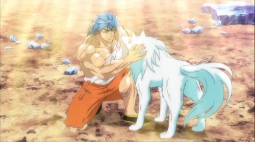 Toriko