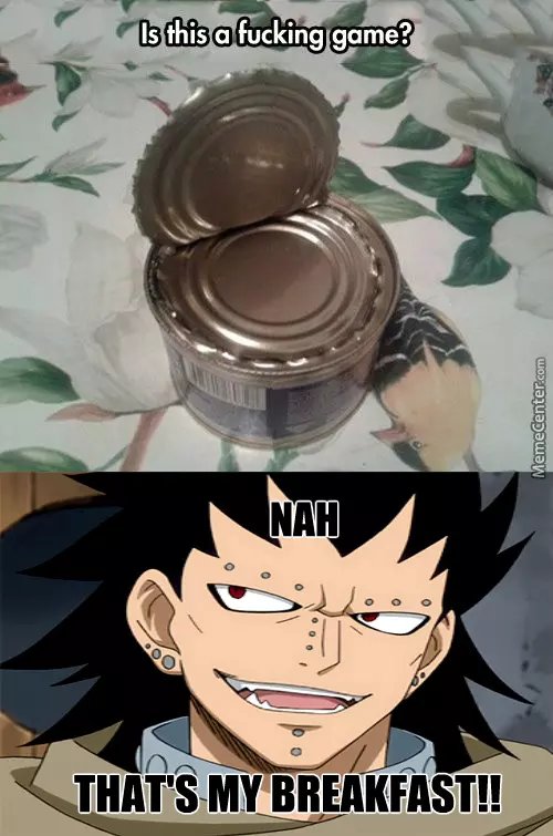 Fairy Tail Gajeel Redfox Fairy Tail memes