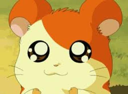 Hamtaro