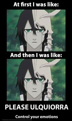 Bleach meme by NekoEspada on deviantART in 2023  Bleach meme Bleach  funny Anime memes funny