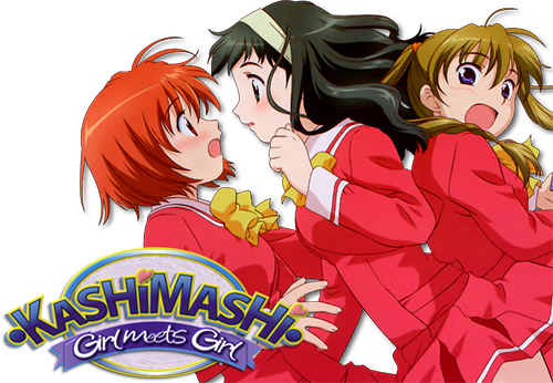 15 best anime gender bender Kashimashi: Girl Meets Girl