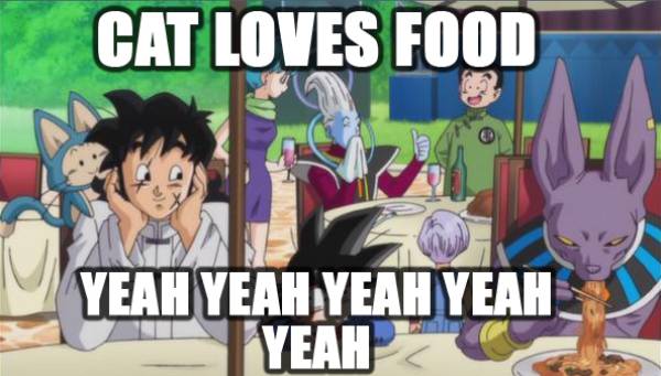 Dragon Ball Super memes, Beerus, Whis, Bulma