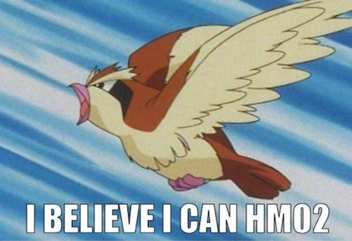 pidgey, hm02, pokemon jokes, pun, meme, joke