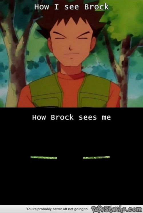 brock, Takeshi, pokemon jokes, meme, funny