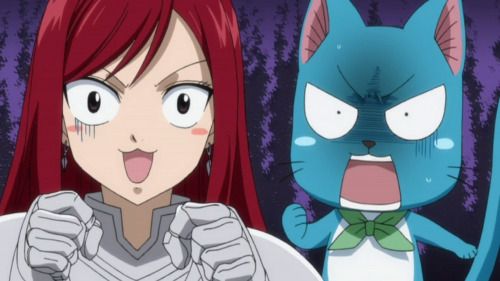 Anime Filler Episodes can be great! Here are happy and Erza from Fairy Tail!