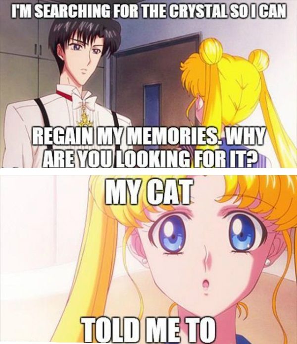 Bishoujo Senshi Sailor Moon Crystal: Usagi Tsukino, Mamoru Chiba meme