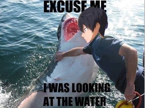 Free!: Haruka Nanase meme