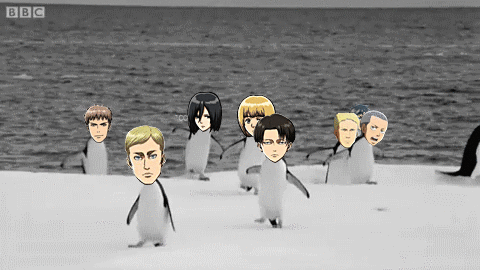 Attack on Titan penguins GIF