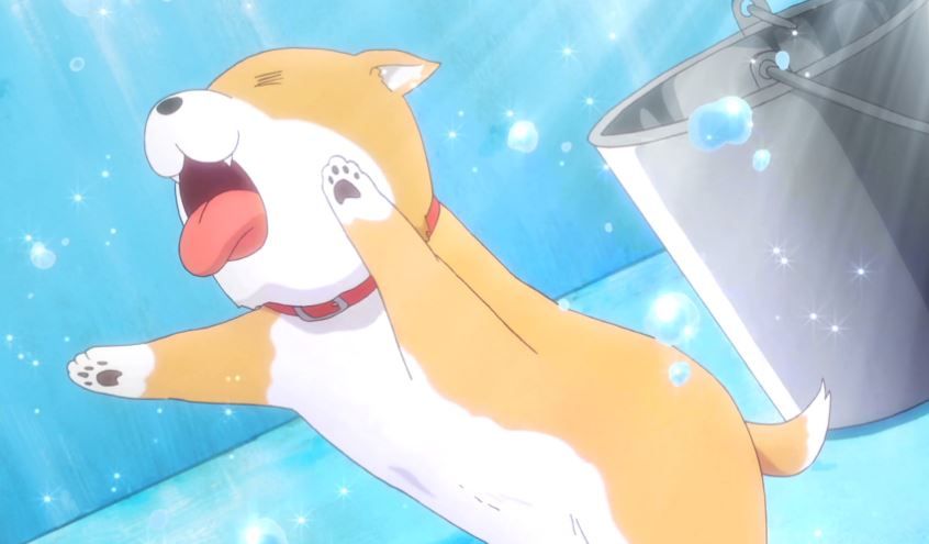 Taroumaru the dog from Gakkougurashi! is one of the cutest anime pets ever!