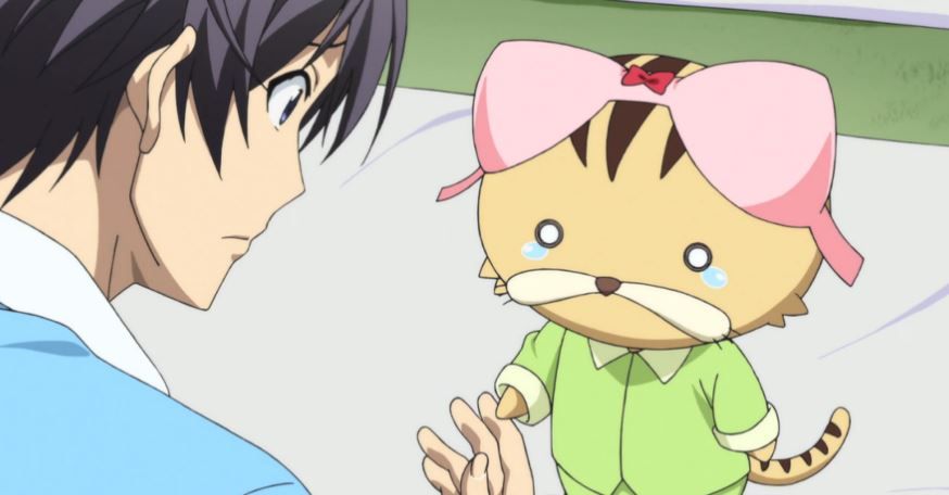 Branya the cat from Mangaka-san to Assistant-san to The Animation is one of the cutest anime pets ever!, Yuuki Aito