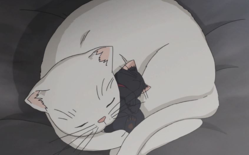 The cats from Sukitte Ii na yo. are some of the cutest anime pets ever!
