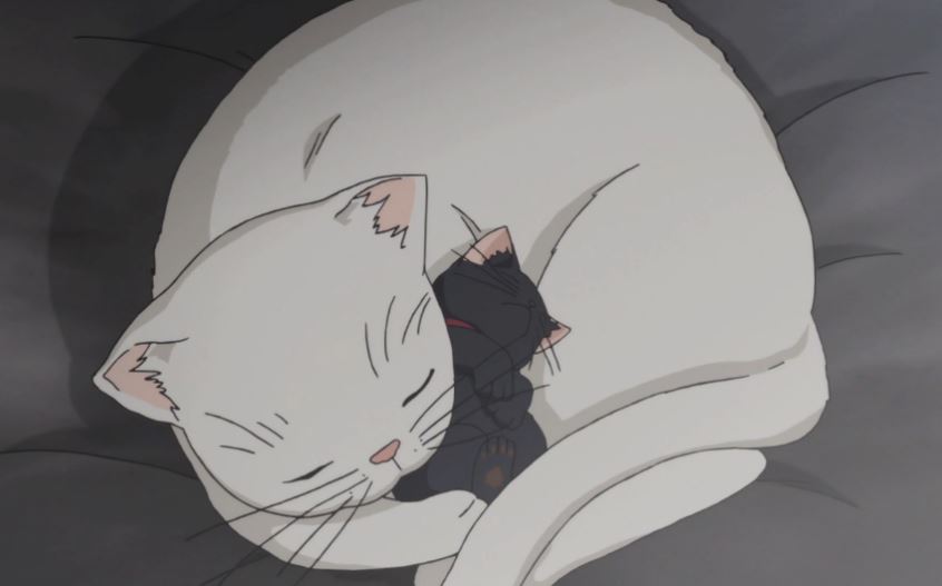 10 Best Cat Companions In Anime