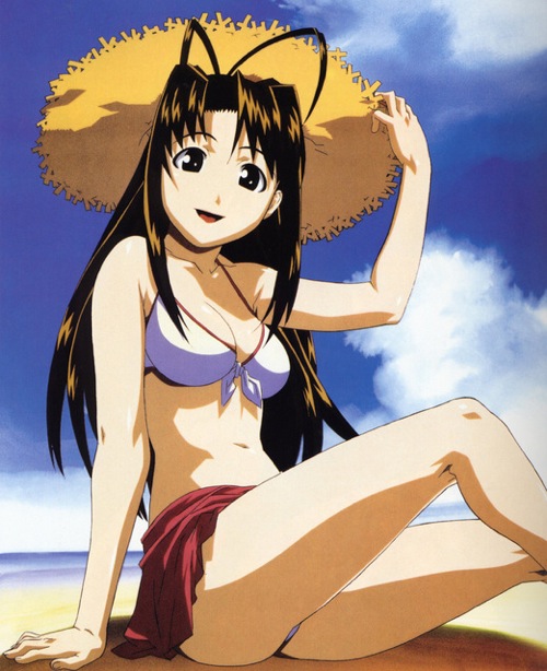 Top 20 Anime Bikini Girls and Swimsuit Beach Boys