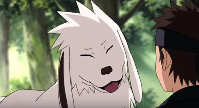 Akamaru, the ninja dog from Naruto who is is bestfriends with Kiba Inuzuka, is one of the cutest anime pets ever!