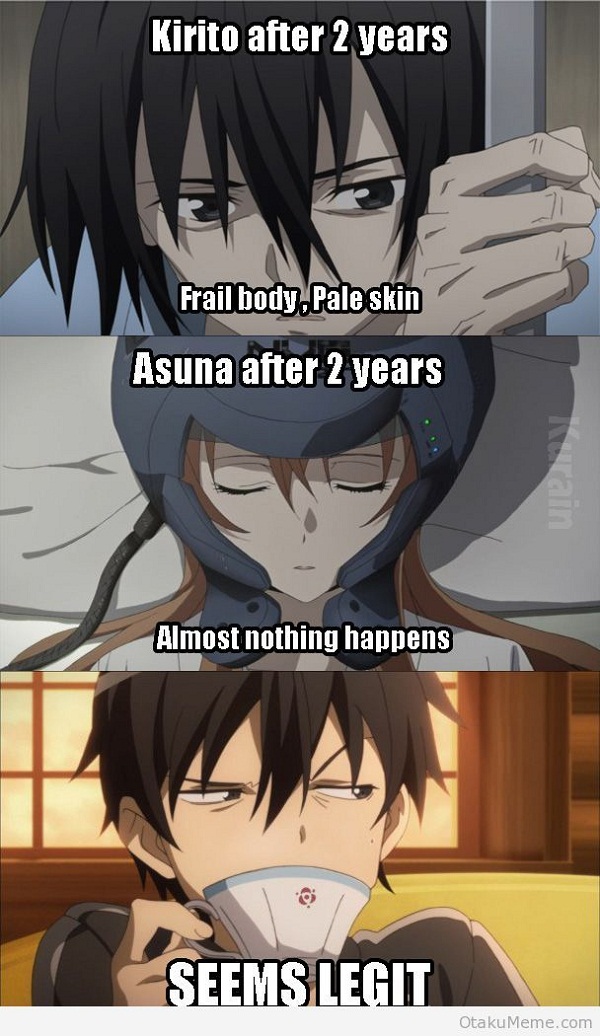 15 of the Funniest Sword Art Online Memes - 15