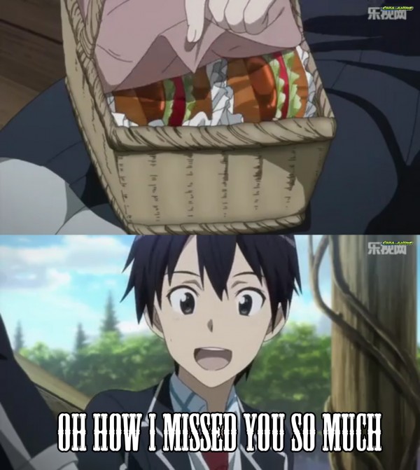 15 of the Funniest Sword Art Online Memes - 5