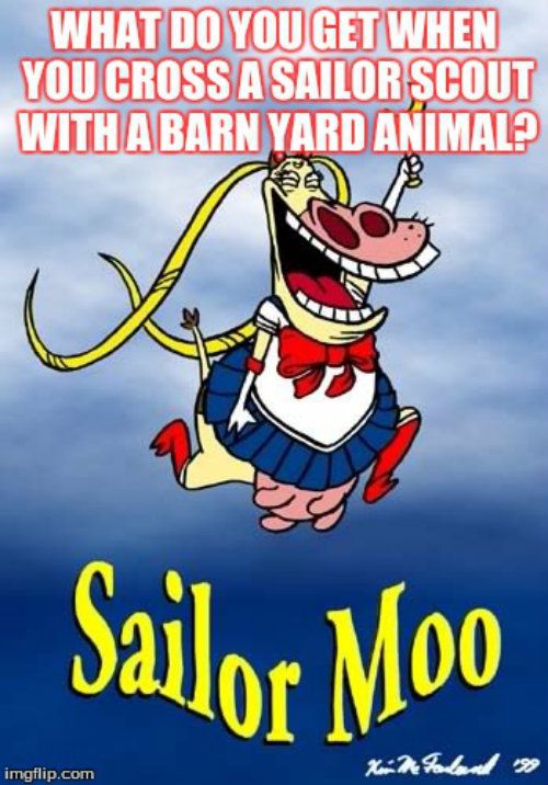 sailor moon, moo, cow, pun, funny