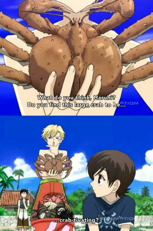 ouran high school host club, anime, joke, pun, funny, tamaki, haruhi