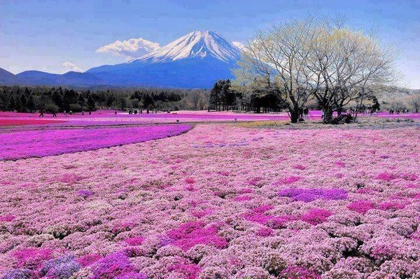 Mt. Fuji anime in real life in Japan