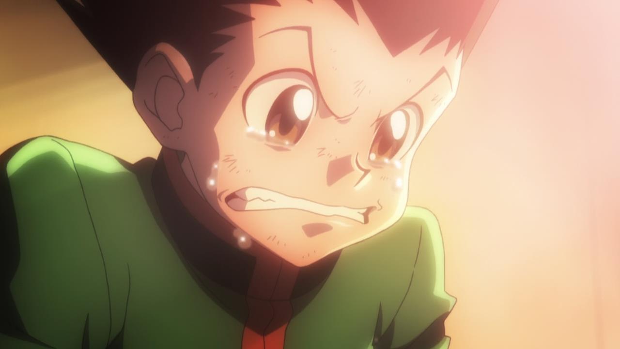 HunterxHunter Hiatus gon crying