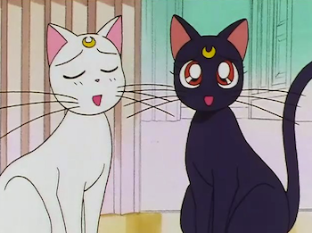 Sailor Moon, Luna and Artemis 1