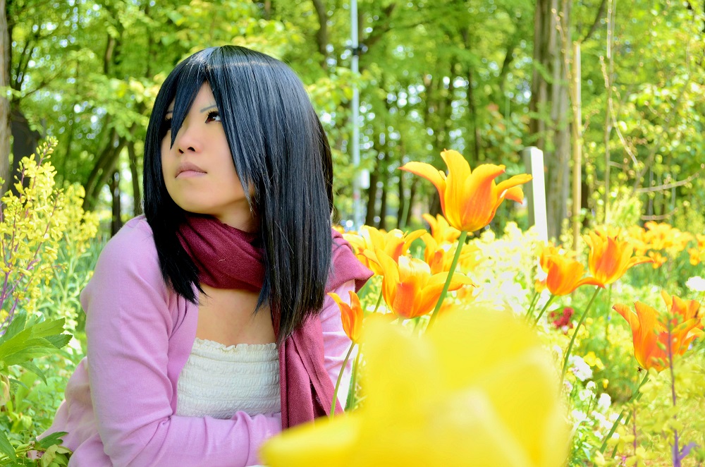 Shingeki no Kyojin Attack on Titan Cosplay Mikasa Ackerman