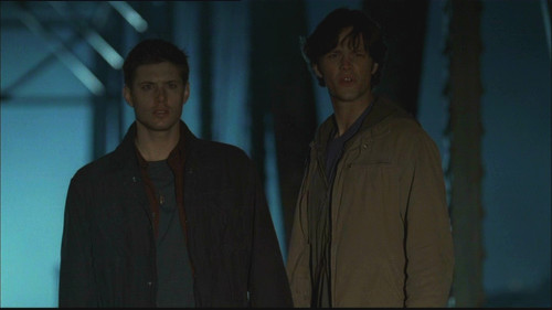 Winchester Brothers Supernatural