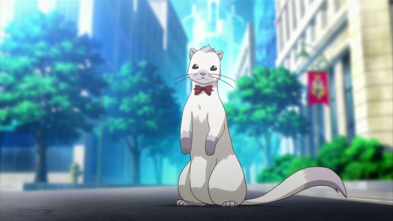 Chip the ferret from Rio: Rainbow Gate! is one of the cutest anime pets ever!