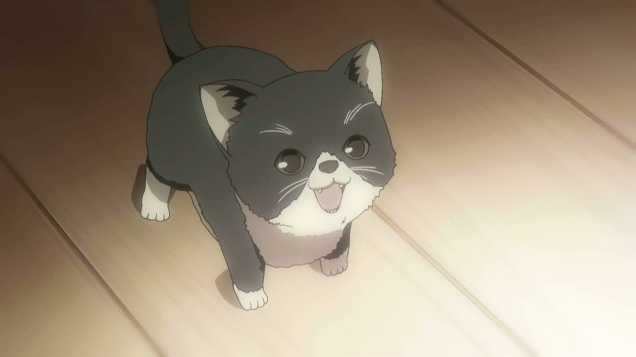 Sorata the cat from Sekaiichi Hatsukoi is one of the cutest anime pets ever!, Masamune Takano