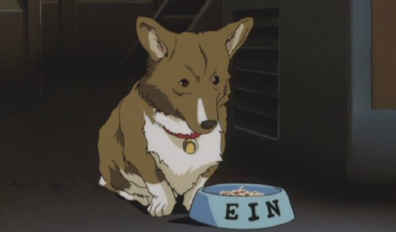 Ein the dog from Cowboy Bebop is one of the cutest anime pets ever!