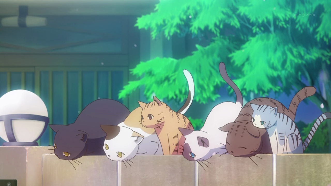 The cats from Sakurasou no Pet na Kanojo are some of the cutest anime pets ever!