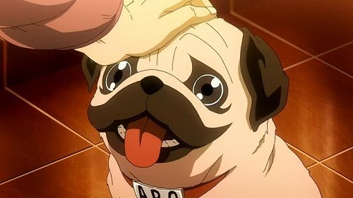 Apo is a cute anime dog from Uchuu Kyoudai (Space Brothers)