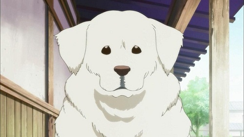 extremely cute anime dog. arf hes an anime puppy. i | Stable Diffusion |  OpenArt