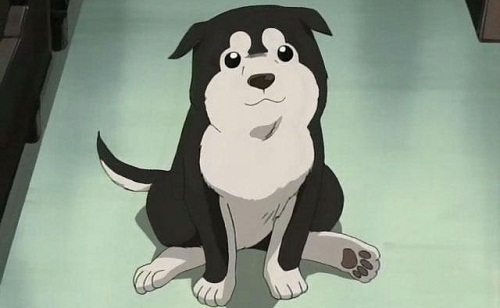 Top 20 Cute Anime  Dogs  MyAnimeList net