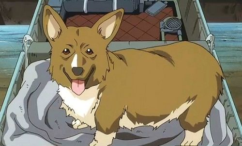 Ein is a cute anime dog from Cowboy Bebop