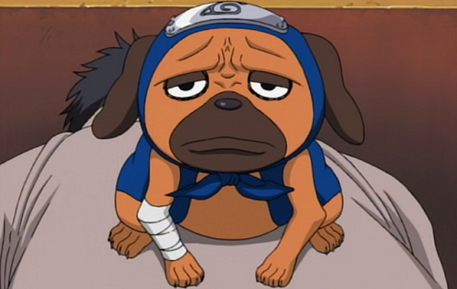 Pakkun is a cute anime dog from Naruto