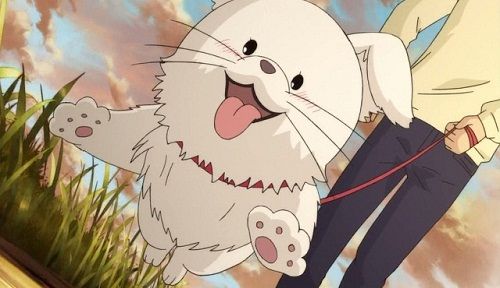 Maru is a cute anime dog from Kimi ni Todoke